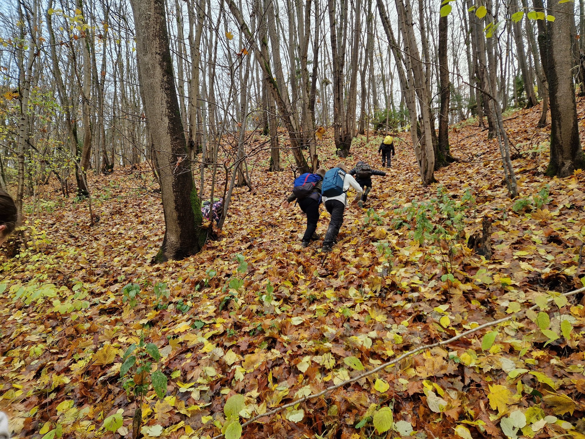 Ugdymas mokytojas vaikas – mokytojas padeda vaikui įveikti žygio kliūtis, ugdydamas drąsą ir bendradarbiavimą.