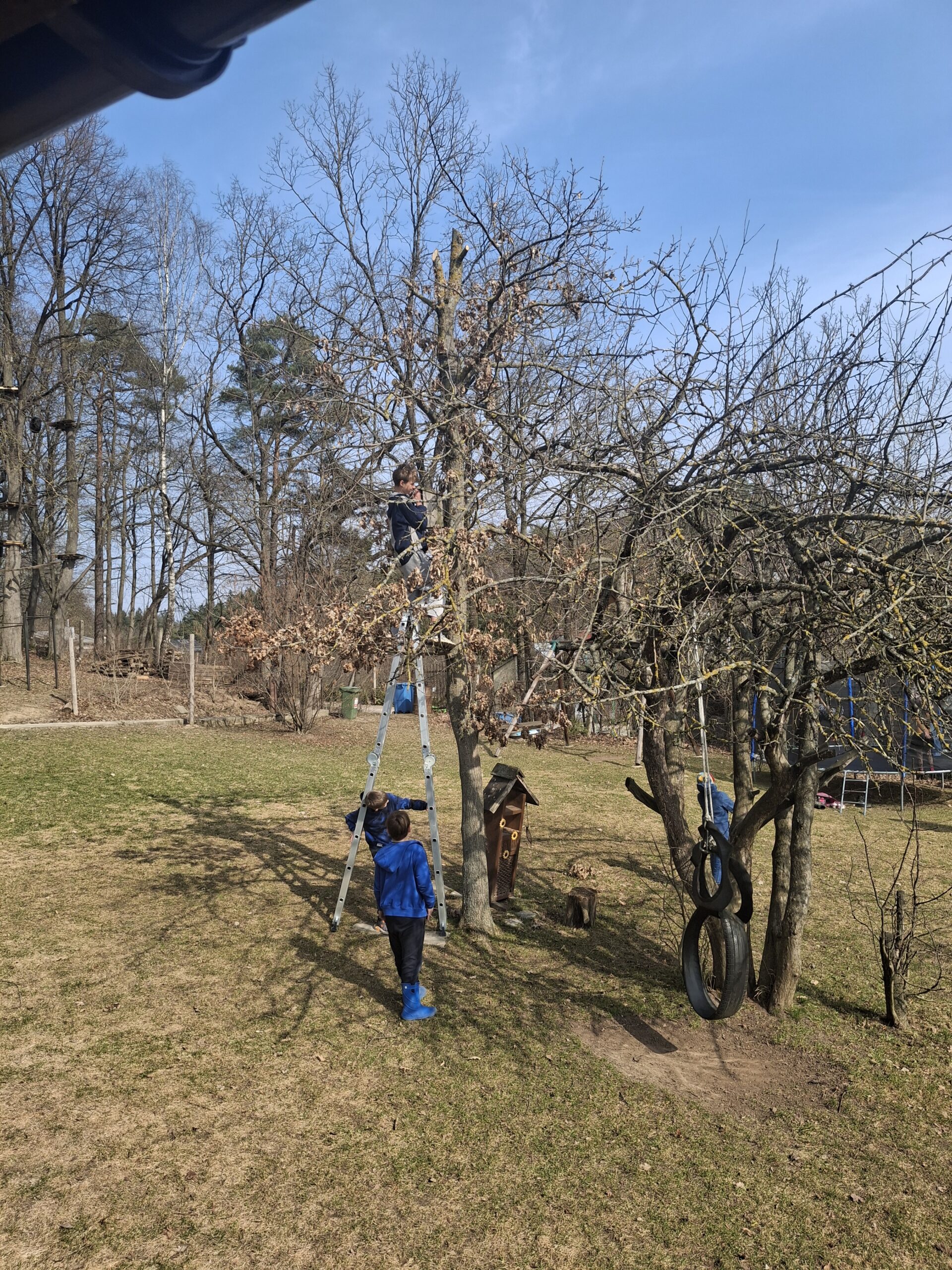 Žalioji gamtos mokykla praktinis mokymasis