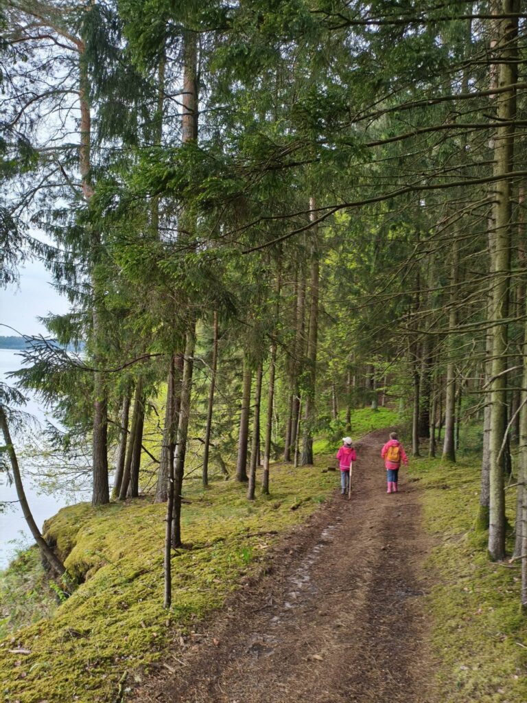Žaliosios gamtos mokyklos vaikai eina miško taku ir tyrinėja gamtinę aplinką